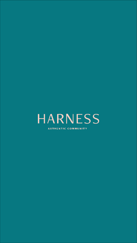 Harness Editor
